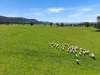 223 Rodwells Road, Murga, NSW 2864