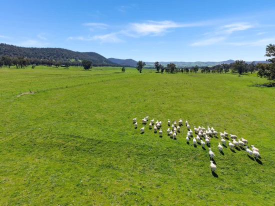 223 Rodwells Road, Murga, NSW 2864