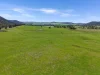 223 Rodwells Road, Murga, NSW 2864-Image