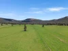 223 Rodwells Road, Murga, NSW 2864-Image