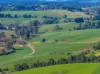 2230 Main Neerim Road, Neerim South, Vic 3831-Image