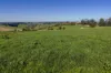 2230 Main Neerim Road, Neerim South, Vic 3831-Image