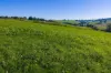 2230 Main Neerim Road, Neerim South, Vic 3831-Image