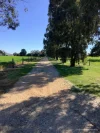 224 McKenzies Road, Clunes, Vic 3370-Image