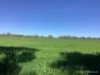 224 McKenzies Road, Clunes, Vic 3370-Image