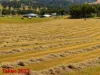 225 Echo Hills Road, Dungowan, NSW 2340-Image