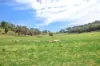 225 Echo Hills Road, Dungowan, NSW 2340-Image