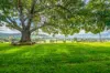 227 Besley Lane, Kergunyah, Vic 3691-Image