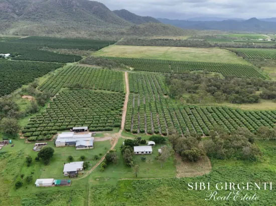 227 Top Eureka, Dimbulah, Qld 4872