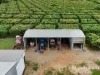 227 Top Eureka, Dimbulah, Qld 4872-Image