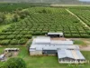 227 Top Eureka, Dimbulah, Qld 4872-Image