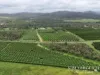 227 Top Eureka, Dimbulah, Qld 4872-Image