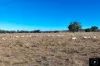 229 Gowang Road, Coonabarabran, NSW 2357-Image
