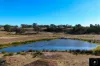 229 Gowang Road, Coonabarabran, NSW 2357-Image