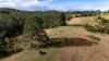 229 Wattley Hill Road, Wootton, NSW 2423-Image
