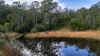 229 Wattley Hill Road, Wootton, NSW 2423-Image