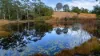 229 Wattley Hill Road, Wootton, NSW 2423-Image