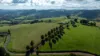 230 Emersons Road, Dorrigo NSW 2453-Image