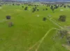 230 Metcalfe-Elphinstone Road, Elphinstone, Vic 3448-Image