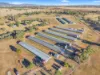 231 Duri-Dungowan Road, Duri, NSW 2344-Image