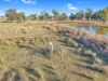231 Duri-Dungowan Road, Duri, NSW 2344-Image