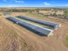 231 Duri-Dungowan Road, Duri, NSW 2344-Image