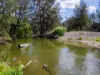 231 Duri-Dungowan Road, Duri, NSW 2344-Image