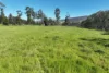 2312 Wymah Road, Wymah, NSW 2640-Image