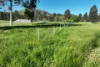 2312 Wymah Road, Wymah, NSW 2640-Image
