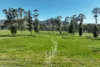 2312 Wymah Road, Wymah, NSW 2640-Image