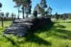 2312 Wymah Road, Wymah, NSW 2640-Image