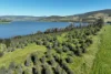 2312 Wymah Road, Wymah, NSW 2640-Image