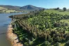 2312 Wymah Road, Wymah, NSW 2640-Image
