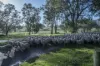 2314 Cavendish-Glendinning Road, Rocklands, Vic 3401-Image