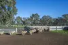 2314 Cavendish-Glendinning Road, Rocklands, Vic 3401-Image