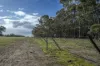 2314 Cavendish-Glendinning Road, Rocklands, Vic 3401-Image