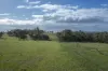 2314 Cavendish-Glendinning Road, Rocklands, Vic 3401-Image