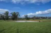 2314 Cavendish-Glendinning Road, Rocklands, Vic 3401-Image