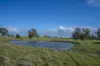 2314 Cavendish-Glendinning Road, Rocklands, Vic 3401-Image