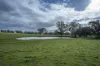 2314 Cavendish-Glendinning Road, Rocklands, Vic 3401-Image