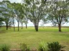 2330 Dalby Cooyar Road, Kaimkillenbun, Qld 4406-Image
