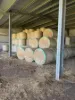 2330 Dalby Cooyar Road, Kaimkillenbun, Qld 4406-Image