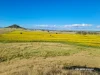 2335 Glenesk Road, Delungra, NSW 2403
