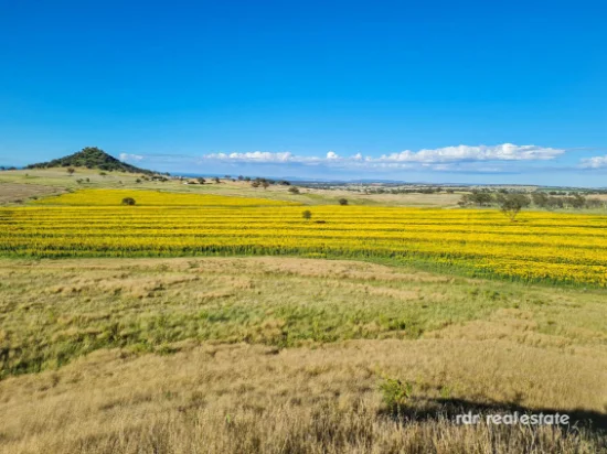 2335 Glenesk Road, Delungra, NSW 2403