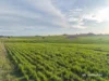 2335 Glenesk Road, Delungra, NSW 2403-Image