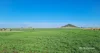 2335 Glenesk Road, Delungra, NSW 2403-Image