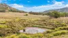 2337 Danglemah Road, Woolbrook, NSW 2354-Image