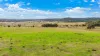 2337 Danglemah Road, Woolbrook, NSW 2354-Image