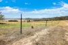 2337 Danglemah Road, Woolbrook, NSW 2354-Image