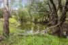 242 Reidy's Road, Wooroonden, Qld 4605-Image